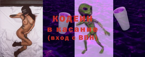 прущие грибы Вязьма